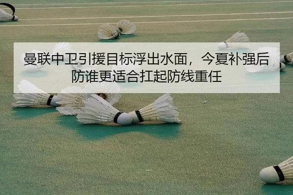 曼联中卫引援目标浮出水面，今夏补强后防谁更适合扛起防线重任