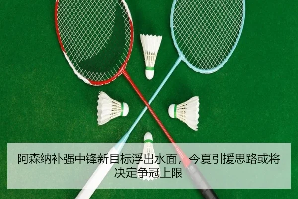 阿森纳补强中锋新目标浮出水面，今夏引援思路或将决定争冠上限 - ZHCW