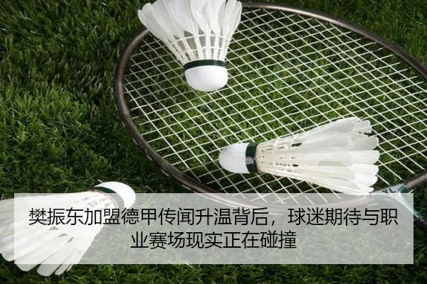 樊振东加盟德甲传闻升温背后，球迷期待与职业赛场现实正在碰撞（ZHCW）